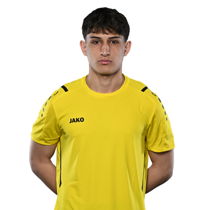 დავით გოგებაშვილი