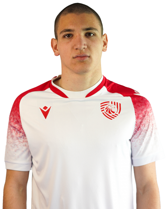 ალექსანდრე ამისულაშვილი