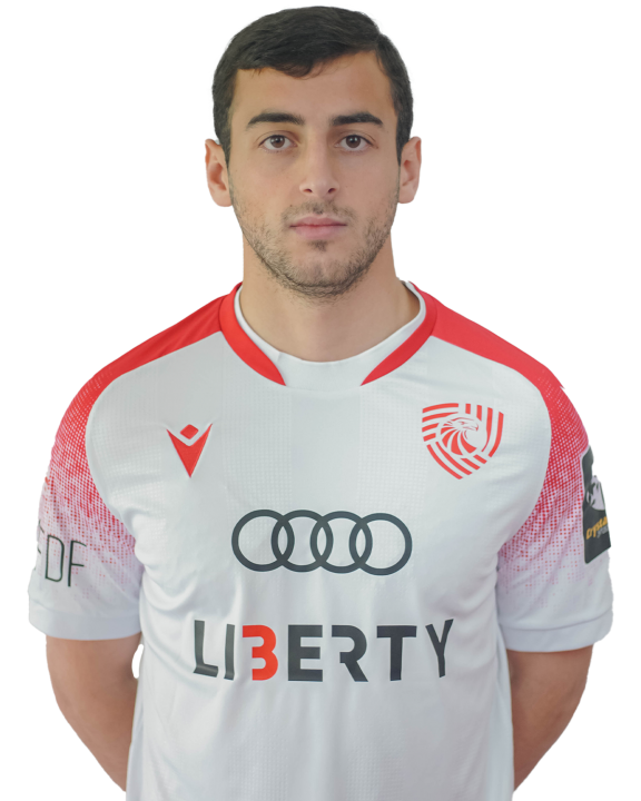 გიორგი ამბროსიძე