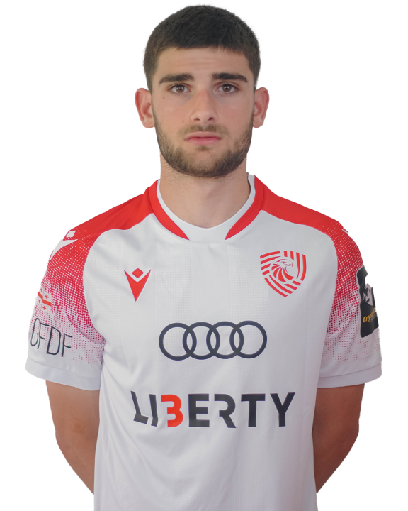 გიორგი გოგსაძე