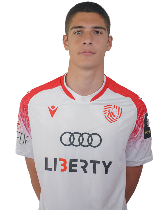 ნიკოლოზ ბოჭორიშვილი