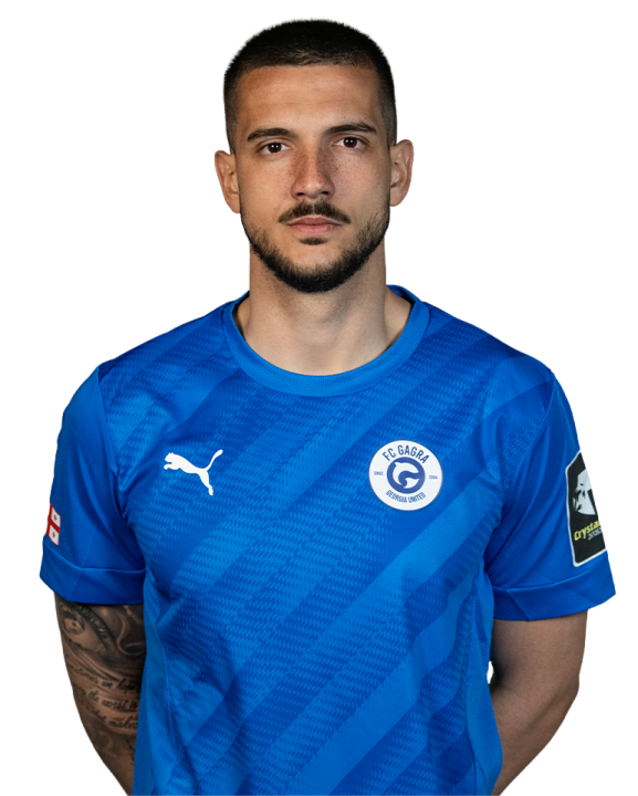 ვლადიმირ არსიჩი