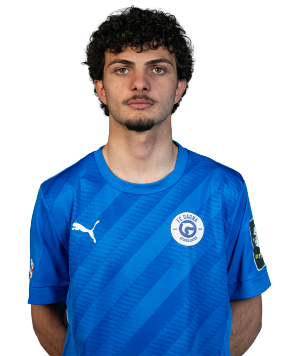 მიხეილ ქობალია