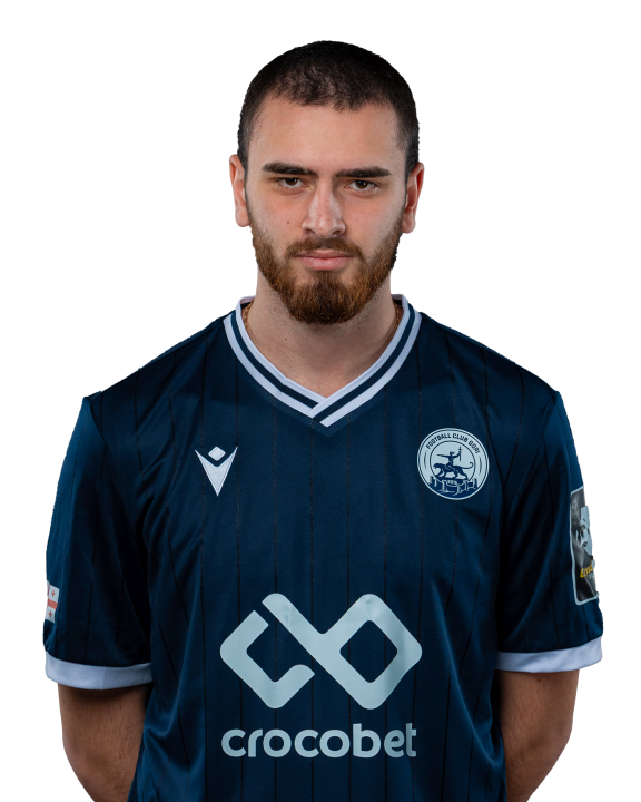 გიორგი ბერძნიშვილი