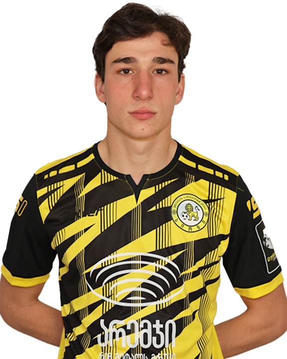 ალექსანდრე ჭოლოკავა