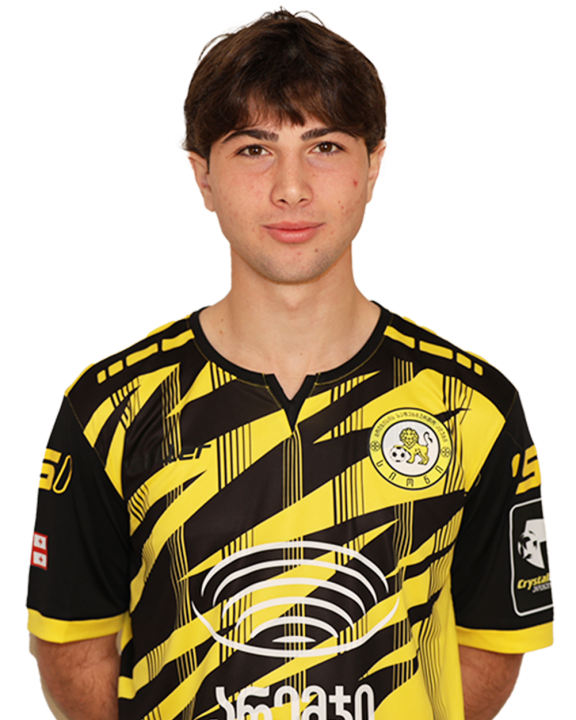 გიორგი ჯელაძე