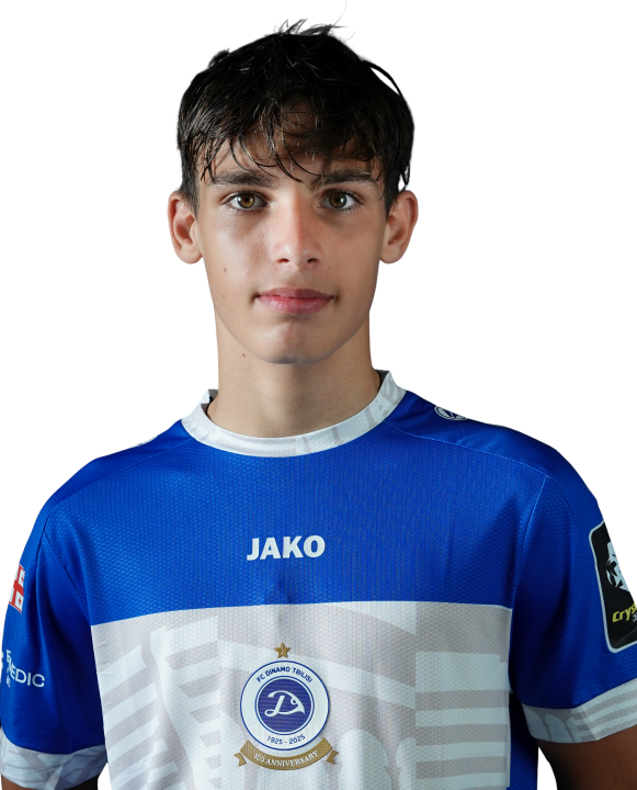 გაბრიელ გოგუა