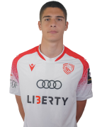 ნიკოლოზ ბოჭორიშვილი